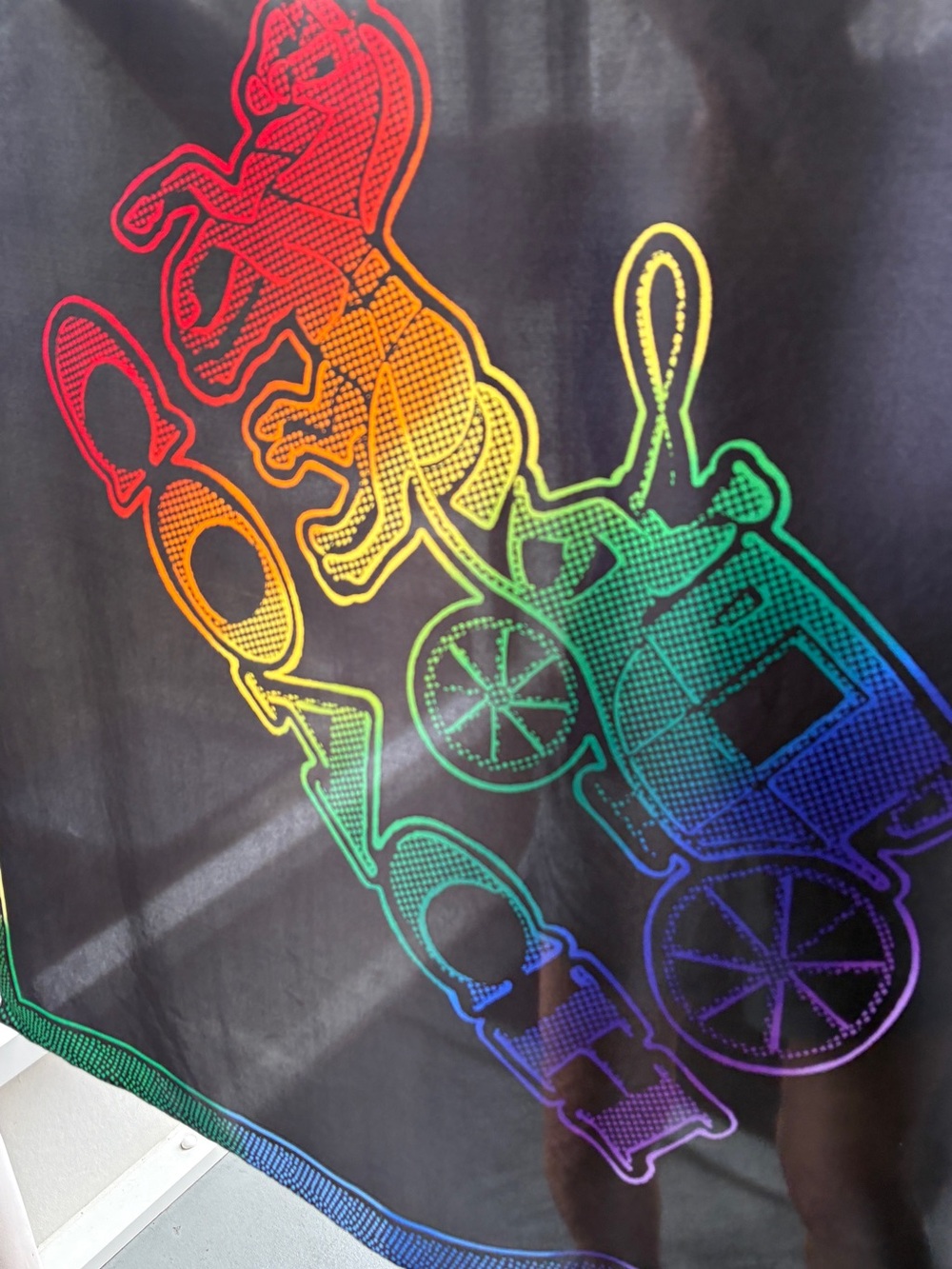 COACH Rainbow Ombré Horse and Carriage Scarf - Picture 3 of 5